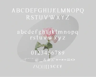 Astina Serif Font