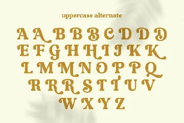 Degalena - A Modern Vintage Serif font