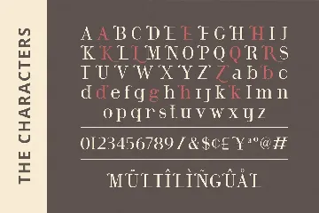 Modern Font