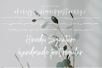 Hineda Signature font