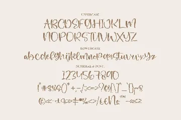 Flowless Handwritten Font