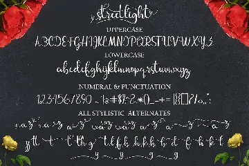 streetlight script Font