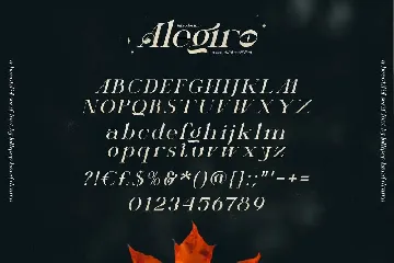 Alegiro Script Font