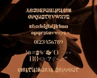 Guinevere - Serif Display Font