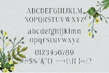 Belinda Avenue || Stylish Classic Serif font