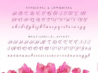 Wonderful Day - Romantic Script font