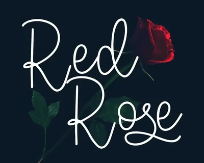 Castilock Script Font