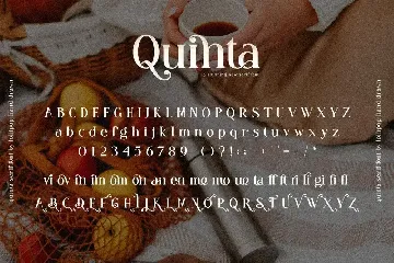 Quinta Serif Font