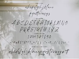 Wistonia Signature font