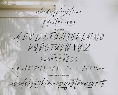 Wistonia Signature font