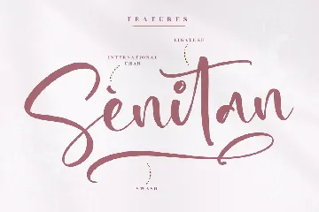 Bestiality Script Font