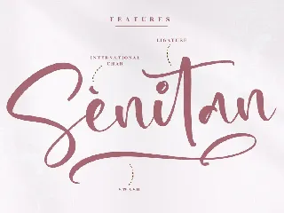 Bestiality Script Font