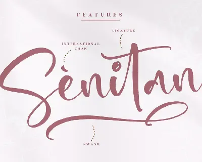 Bestiality Script Font