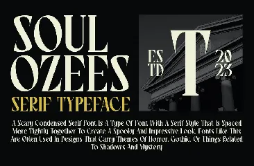 Soul Ozees - A Modern Serif Font