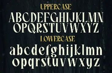 Soul Ozees - A Modern Serif Font