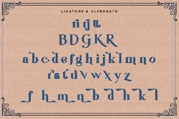 Rudisfave - Decorative Serif Font