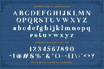 Rudisfave - Decorative Serif Font