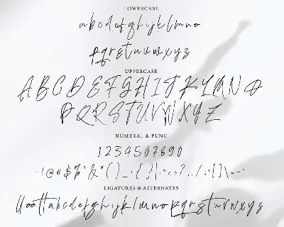 Adustine - Handwritten Signature font