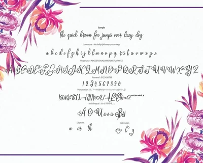 Blofera | Modern Script Font