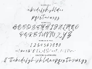 Austand - Handwritten Signature font