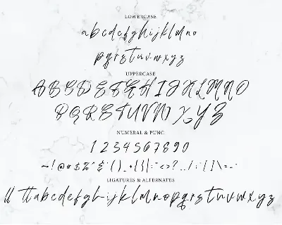 Austand - Handwritten Signature font