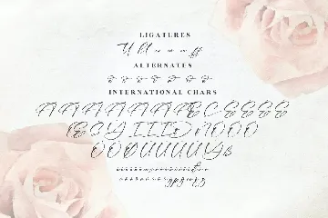 Bohemia Florale Calligraphy Font