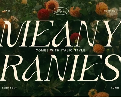 Amadi - Quirky Serif Font