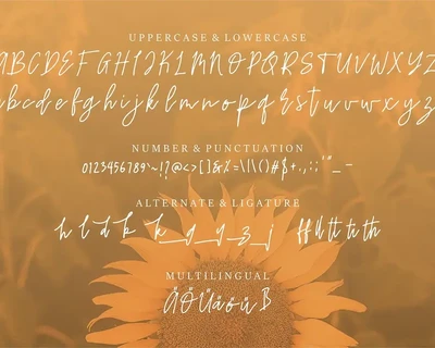 Reyton | Handwritten Script Font
