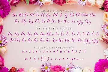 Beneficha - Natural Script font