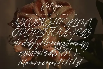 Butique font