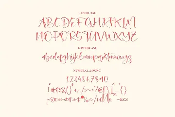 Adelle Bright Handwritten Script Font