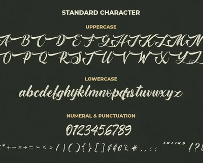 The Baghotta Casual Script Font