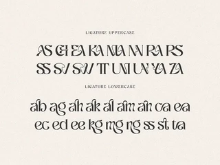 Ragnheidr Unique Serif font