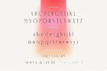 Flaroper || Modern Ligature Serif font