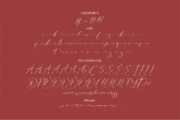 Allaberty Novelya Script Font