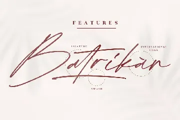 Bellamy Stevenson Modern Signature Font