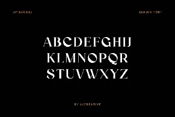 Vindigater Modern Retro Serif Font