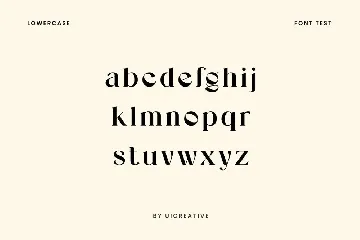 Vindigater Modern Retro Serif Font