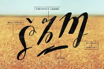 Sottafles Typeface font