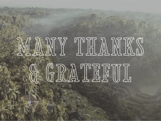 American Delighter Vintage Typeface font