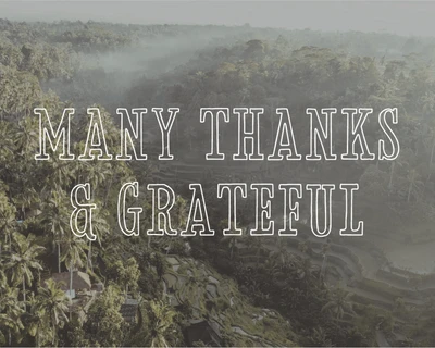 American Delighter Vintage Typeface font