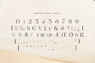 Gray - Luxury Classy Brand Font