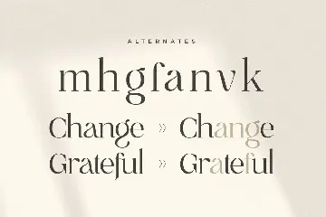 Gray - Luxury Classy Brand Font