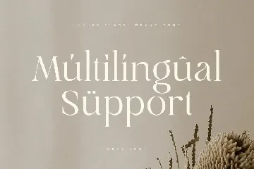 Gray - Luxury Classy Brand Font