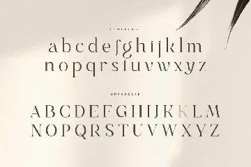 Gray - Luxury Classy Brand Font