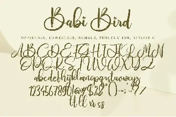 Babi Bird font