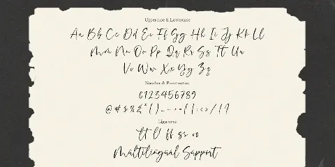 Embassy A Handwritten Script Font TT