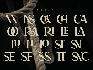 Chrastle Modern Serif Typeface font