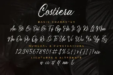 Costiera - Elegant Hanbrush font