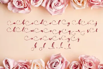 Monieta - Adorable Script font